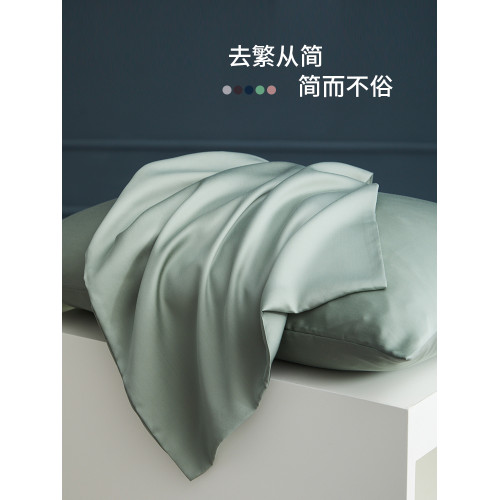 60支天絲枕套純色簡約枕頭套一對裝夏季涼爽冰絲48x74枕芯套枕巾