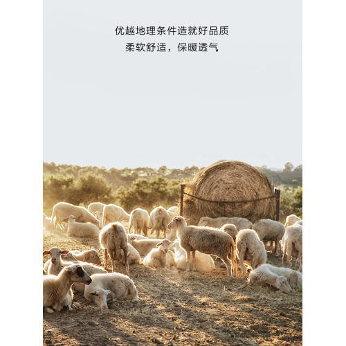 2025新款簡約高領毛衣男冬季內搭冬季加厚保暖白色針織打底衫男潮