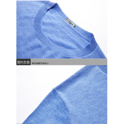 啄木鳥毛衣男春秋薄款圓領羊毛針織打底衫中青年休閒純色V領體恤T