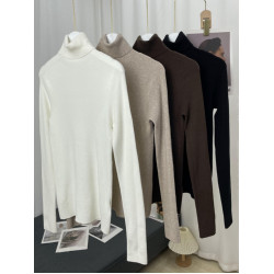 無縫一體柔軟細膩羊毛羊絨高領竪條紋百搭長袖針織打底衫  毛衣女