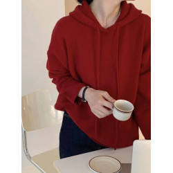 秋冬新款連帽套頭長袖羊毛針織打底衫女百搭慵懶寬松羊絨毛衣帽衫