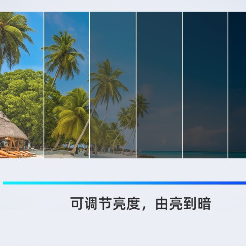 2025新款太陽眼鏡歐美風東南亞龐克個性偏光墨鏡