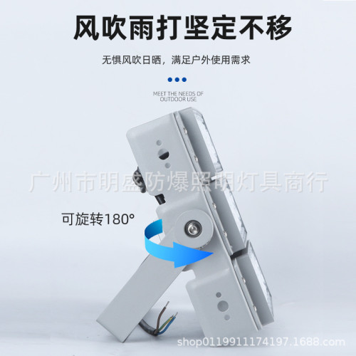 led模組隧道燈 戶外防水籃球場足球場高亮燈50W-600w體育館照明燈