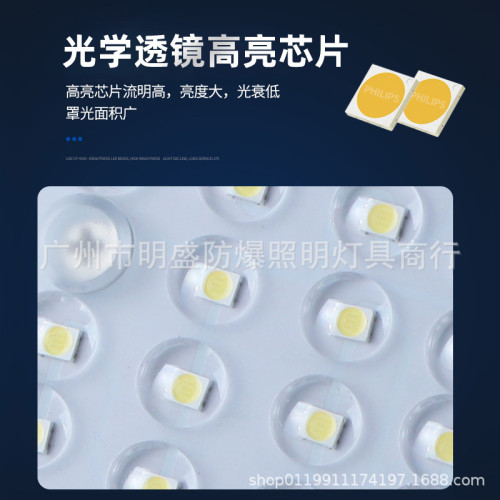 led模組隧道燈 戶外防水籃球場足球場高亮燈50W-600w體育館照明燈