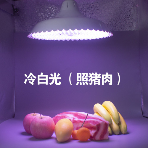 420珠貼片燈2023年新款生鮮燈吊燈吊燈超市食品專用燈