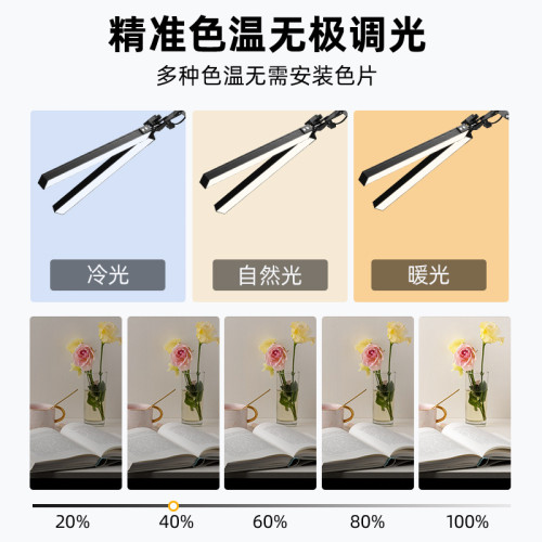 LED學習照明書桌閲讀燈長臂夾子式設計工作電腦護眼Desk Lamp