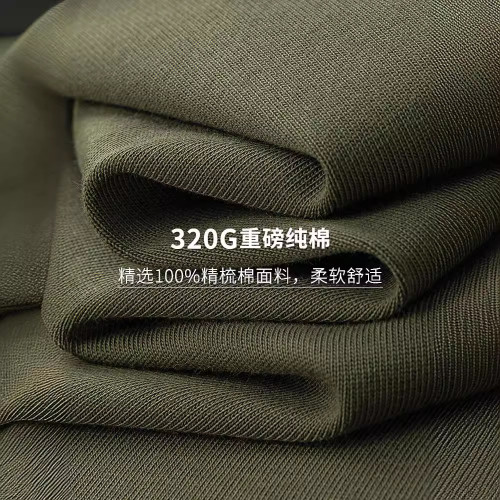 【純棉不透點】320g重磅男士T恤短袖2025夏季輕奢風寬松半袖體恤