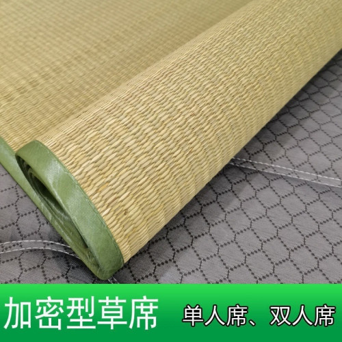 夏天老式草蓆四季通用雙面加厚加密雙人單人蘆葦蓆學生宿舍草蓆子