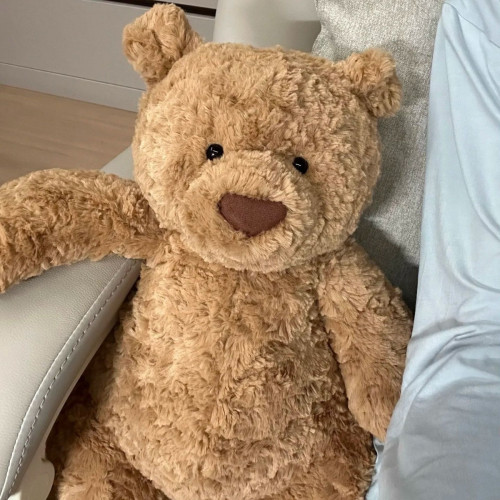 巴塞羅熊邦尼兔小豬甜美小兔西高地捧花生日蛋糕花生企鵞毛絨玩偶