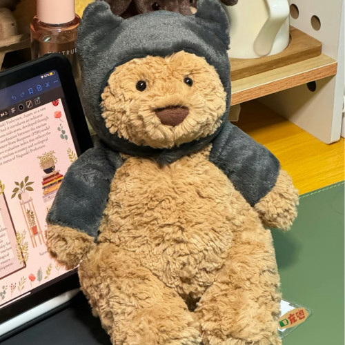 巴塞羅熊邦尼兔小豬甜美小兔西高地捧花生日蛋糕花生企鵞毛絨玩偶