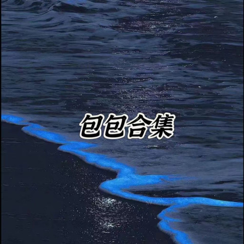 包包合集；