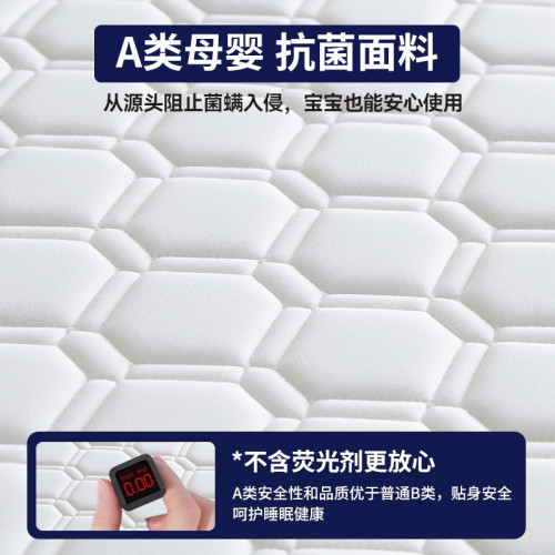 a類床墊家用臥室海綿軟墊褥子學生宿舍租房專用床褥墊鋪底單人床