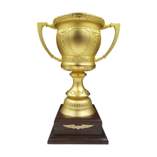 金屬獎杯年會 頒獎紀念品合金創意獎杯多款可選創意新穎獎杯定 做