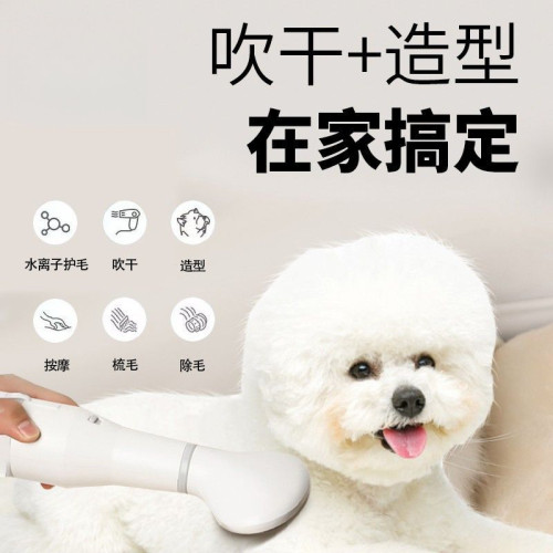 寵物吹風拉毛神器狗狗速乾一體蓬松吹風機貓咪泰迪洗澡吹乾美容