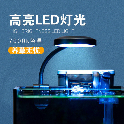 超白玻璃魚缸小型客廳桌面辦公桌魚缸鬭魚缸長方形家用迷你魚缸