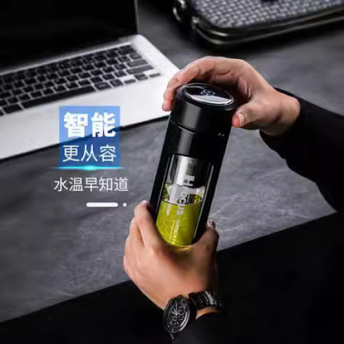 茶水分離玻璃杯男可攜式水杯防摔簡約清新森系雙層家用高檔泡茶杯子