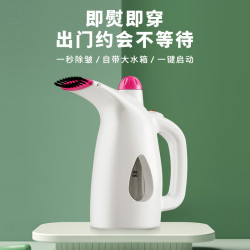 家用小型手持掛燙機 蒸汽熨鬭機 迷你熨衣服可攜式熨燙機禮品