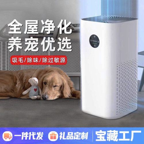 【嚴選】空氣淨化器家用負離子除寵物異味室內桌面空氣淨化器