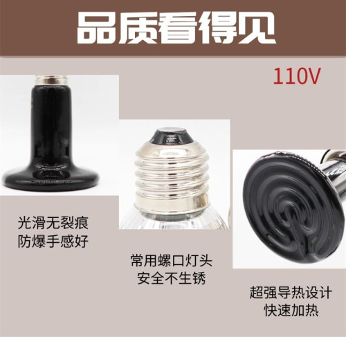 美規遠紅外爬寵紅外陶瓷加熱燈110v爬蟲燈保溫燈蜥蜴爬寵燈保暖燈