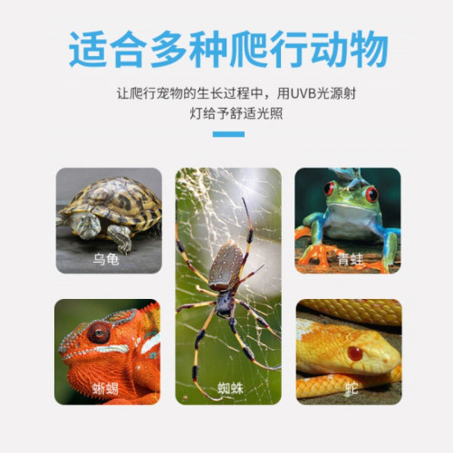 美規110V日規烏龜全光譜倉鼠爬寵陸龜蜥蜴太陽燈 UVA全光譜保溫燈
