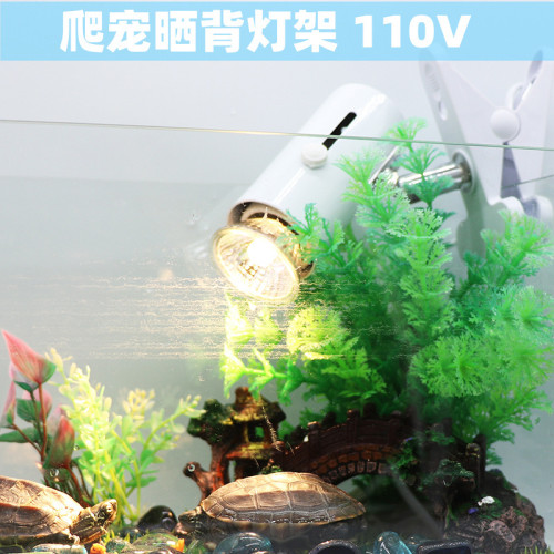 美規110V日規烏龜全光譜倉鼠爬寵陸龜蜥蜴太陽燈 UVA全光譜保溫燈