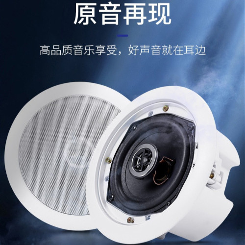 定壓吸頂喇叭 30W公共廣播同軸帶後蓋後罩音箱 定壓吸頂喇叭