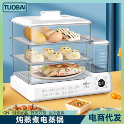 獨立水箱電蒸鍋燉蒸煮一體電蒸籠家用小型三層多功能三層蒸鍋早餐