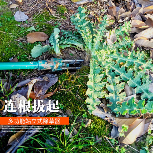 園藝拔器不鏽鋼挖根器挖根器松土園林花藝起根器移苗起苗手動除草