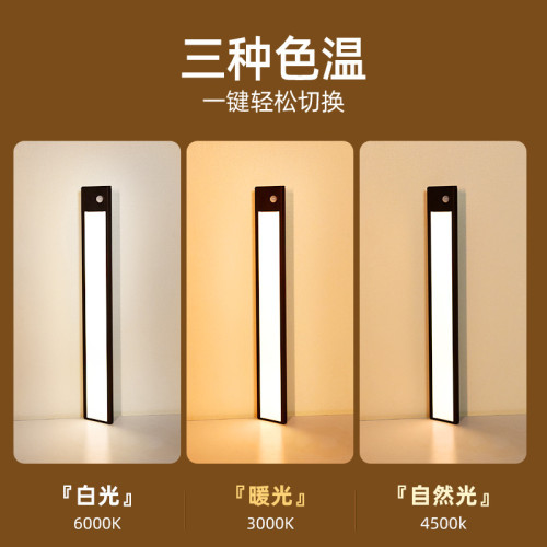 樓道走廊人體感應燈手掃感應衣櫃櫥櫃燈玄關厠所充電樓梯光控起夜