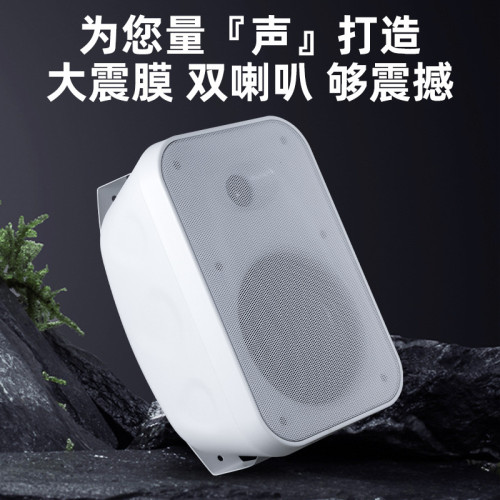 大功率壁掛音箱40W/60W 商場培訓教學會議用壁掛音箱 壁掛音響