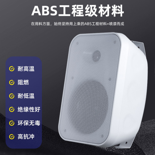 大功率壁掛音箱40W/60W 商場培訓教學會議用壁掛音箱 壁掛音響