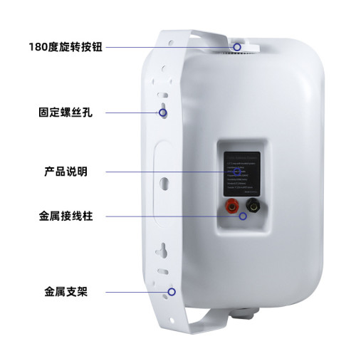 大功率壁掛音箱40W/60W 商場培訓教學會議用壁掛音箱 壁掛音響