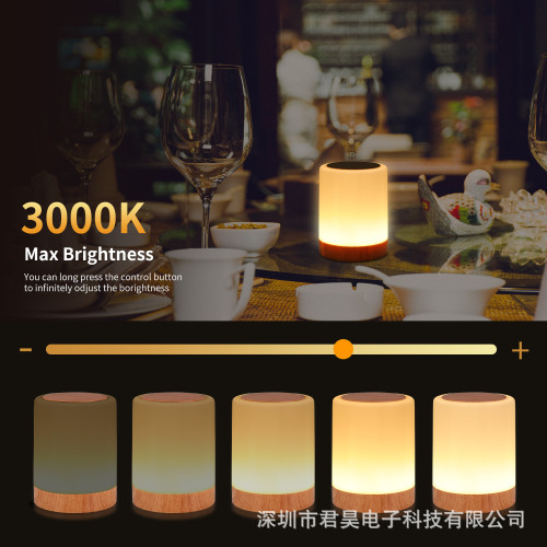 新款創意木紋觸控遙控七彩床頭燈氛圍燈桌面燈戶外LED夜燈