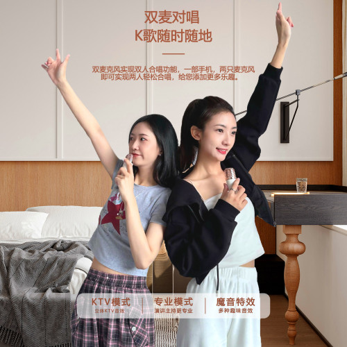 新款藍牙音箱 K歌音箱一體機可攜式手提戶外唱歌低音砲復古小音響
