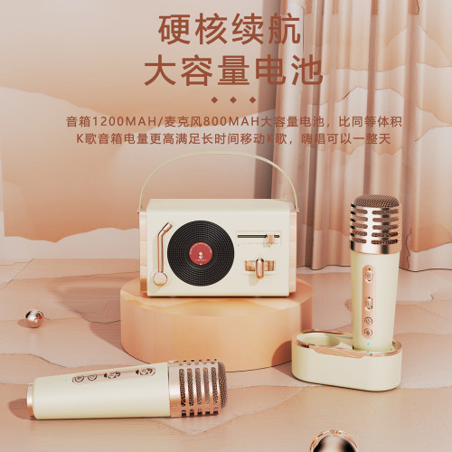 新款藍牙音箱 K歌音箱一體機可攜式手提戶外唱歌低音砲復古小音響