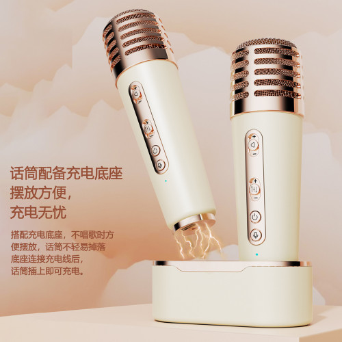 新款藍牙音箱 K歌音箱一體機可攜式手提戶外唱歌低音砲復古小音響