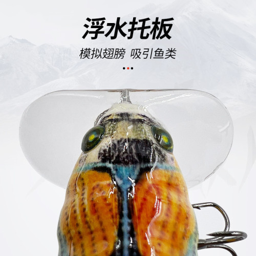 微物知了蟬路亞餌假餌淡海水浮水仿生蟬浮水崑蟲假餌崑蟲魚餌盒裝