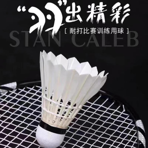 羽毛球水鴨全圓球館訓練比賽12衹裝複合軟木羽毛球兒童耐打羽毛球