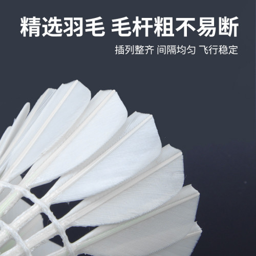 羽毛球水鴨全圓球館訓練比賽12衹裝複合軟木羽毛球兒童耐打羽毛球
