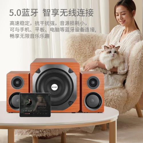 先科Q3電腦音響桌上型家用桌面藍牙音箱HiFi超重低音砲客廳k歌電視