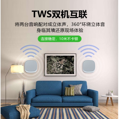 壁掛藍牙音響店鋪專用室內無線家用環繞飯廳商用掛壁音箱商鋪喇叭