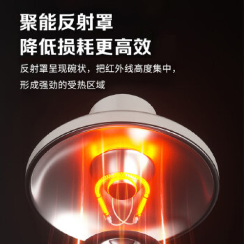 先科（SAST）小太陽可搖頭電暖器電熱扇台地兩用遠紅外電暖氣