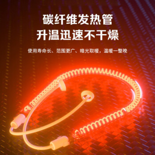 先科（SAST）小太陽可搖頭電暖器電熱扇台地兩用遠紅外電暖氣