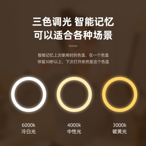 led智能化妝鏡帶燈女生臥室梳妝台梳妝鏡學生宿舍桌面補光小鏡子