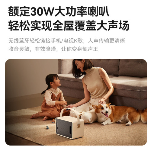TAS5519話筒音響一體麥克風k歌藍牙戶外家庭ktv家用唱歌