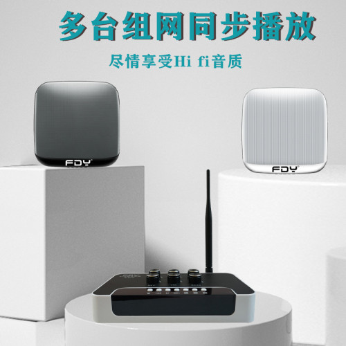 無線壁掛藍牙音響家庭影院音響 店鋪商用背景音樂吸頂藍牙音箱