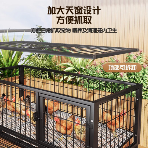 雞籠子家用室外大號方管防雨室內農村自動清糞雞鴨鵞養殖籠鴿子籠
