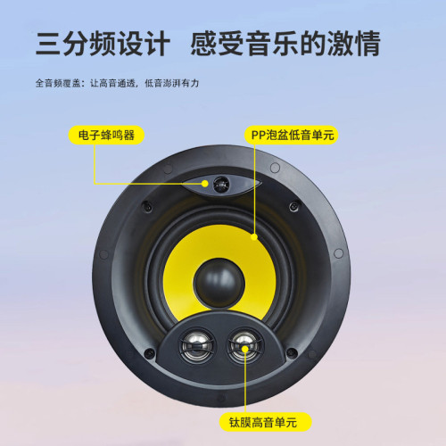 三分頻吸頂喇叭 定阻款高級豪華型天花板吸頂音箱 家庭影院音響