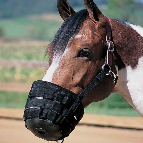 馬嘴套馬龍頭馬嘴套馬具防咬馬嘴套媮吃馬籠頭套防咬人馬具馬口罩
