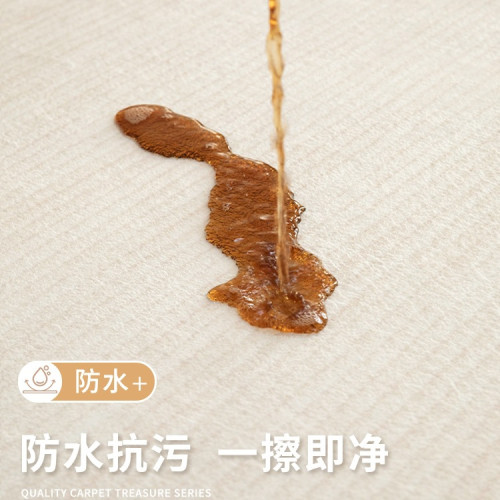 地毯客廳奶油風2025新款免洗可擦沙發臥室感家用地墊防水防汙